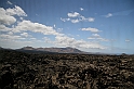 Kanary_2010 106